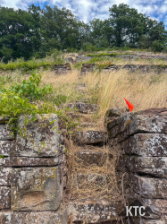 2025-07-05 Heuchelbergtrail - IMG_3547